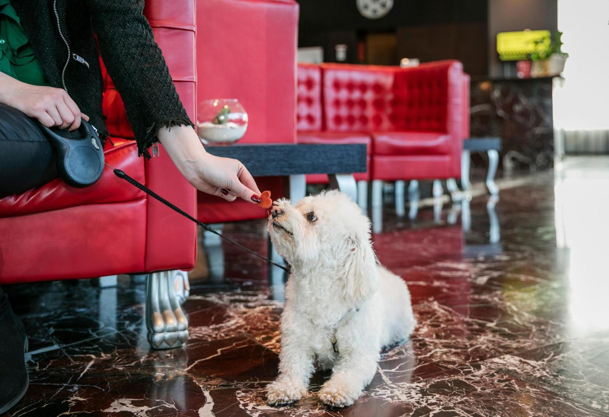 Arcotel Kaiserwasser Wien Ngoại thất bức ảnh